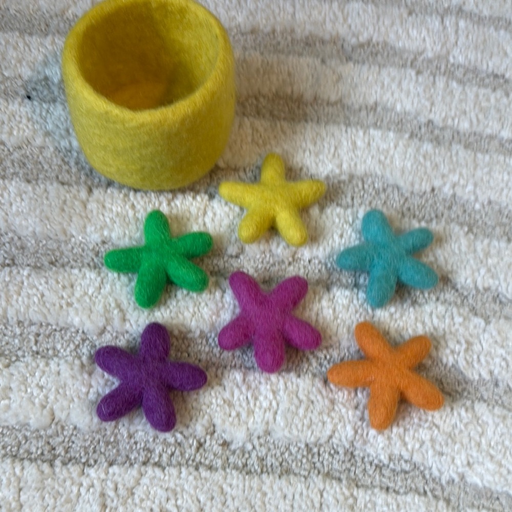 Colorful Felt Starfish Set with Basket